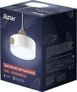 Светильник подвесной Ritter Scandia 52077 1